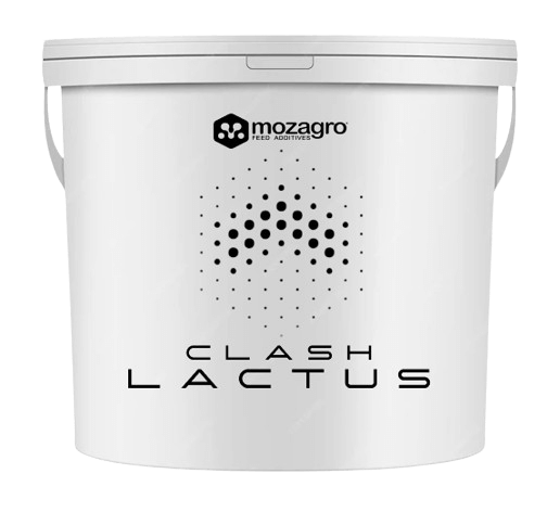 lactus