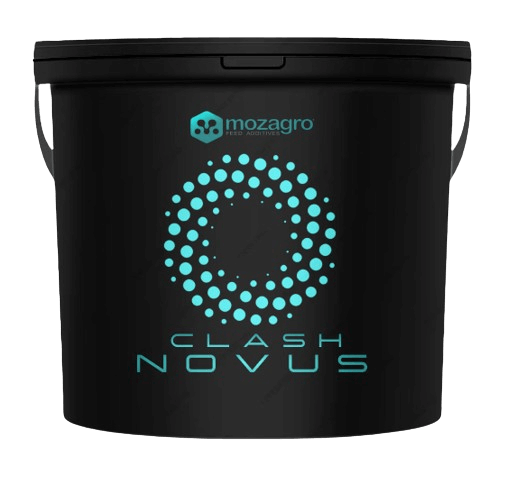 novus