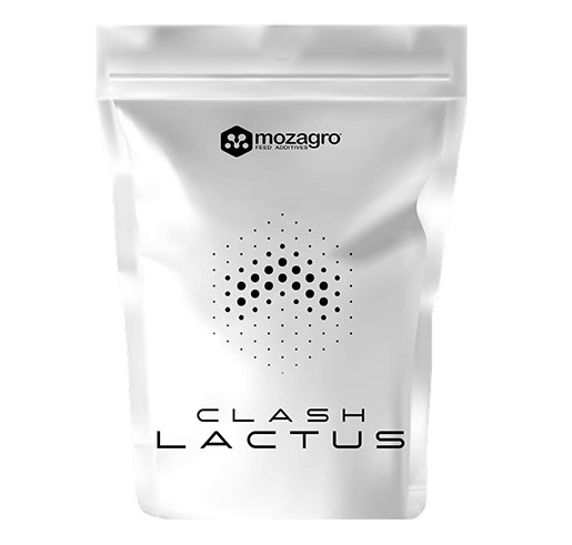 Clash Lactus