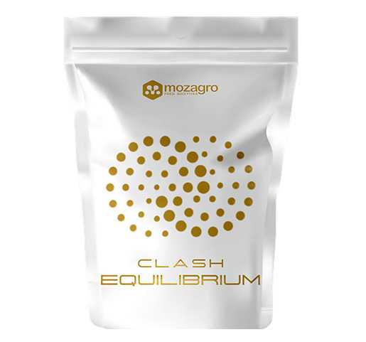 Clash Equilibrium